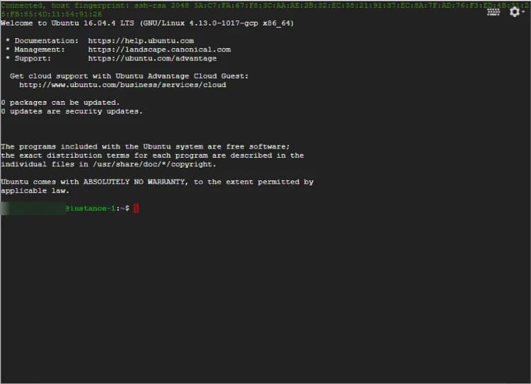 34.5 What connecting to a GCP virtual machine looks like